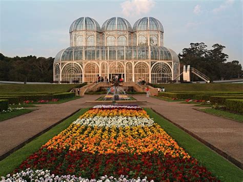  Brazilian Gardens: A Celebration of Nature's Bounty!  - A Floral Journey Through Brazilian Biodiversity